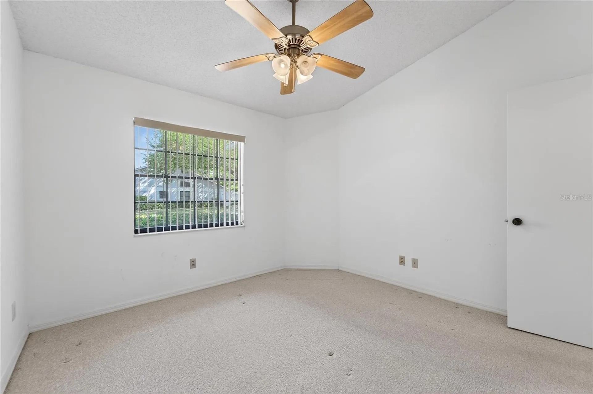 2369 Beverly Drive Dunedin FL 34698