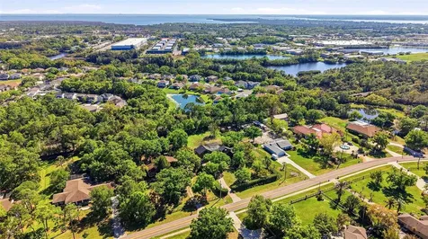 12526 Twin Branch Acres Road Tampa FL 33626