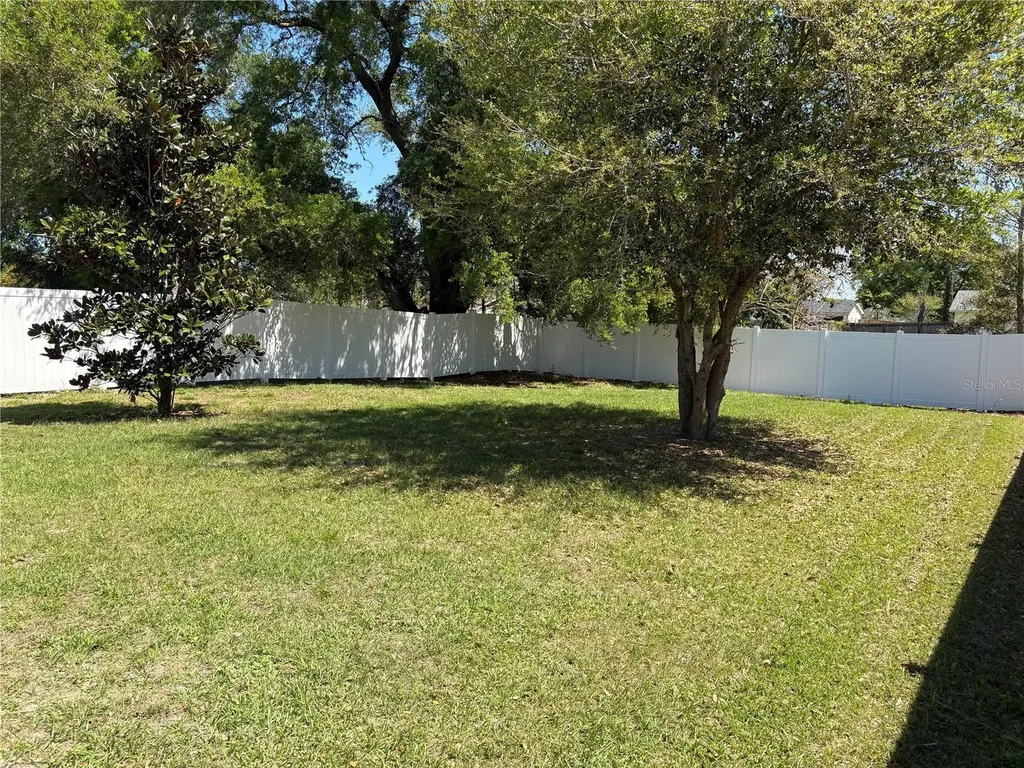 3649 Grubbs Street Mount Dora FL 32757