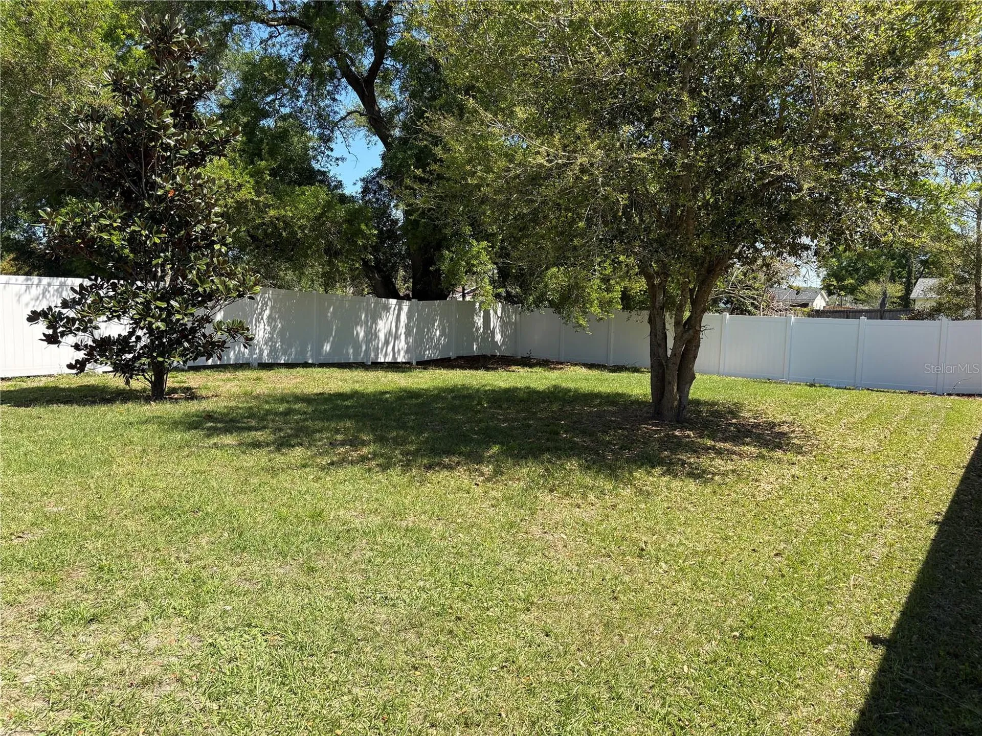 3649 Grubbs Street Mount Dora FL 32757