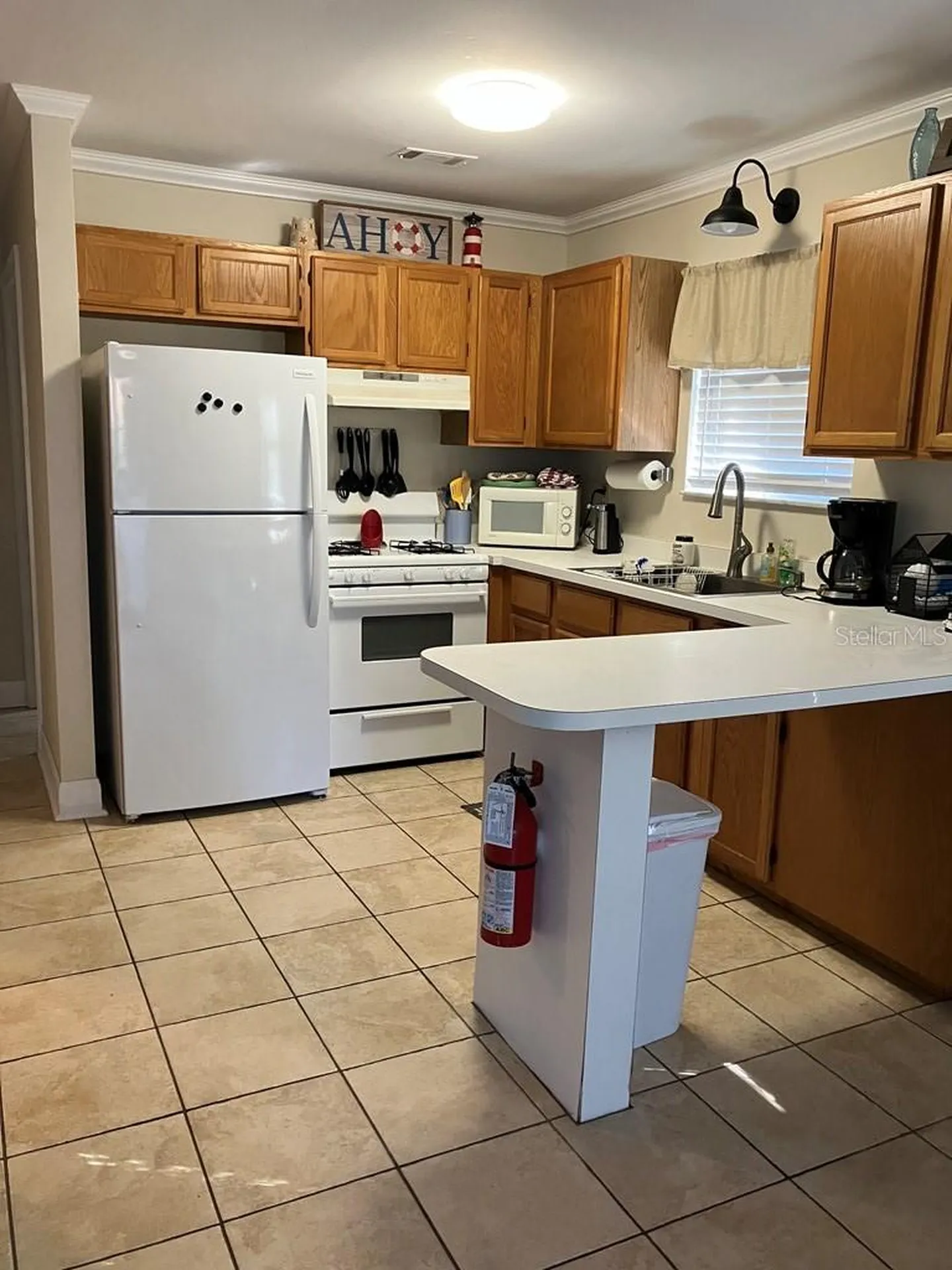 25079 NE 140th Loop Salt Springs FL 32134