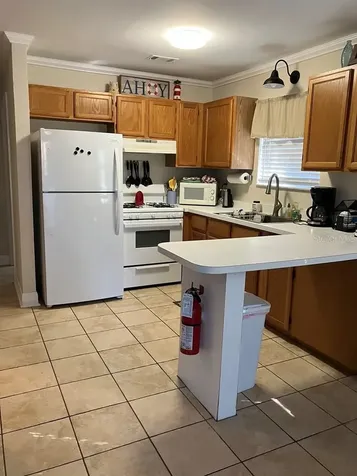 25079 NE 140th Loop Salt Springs FL 32134