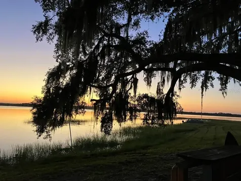 25079 NE 140th Loop Salt Springs FL 32134