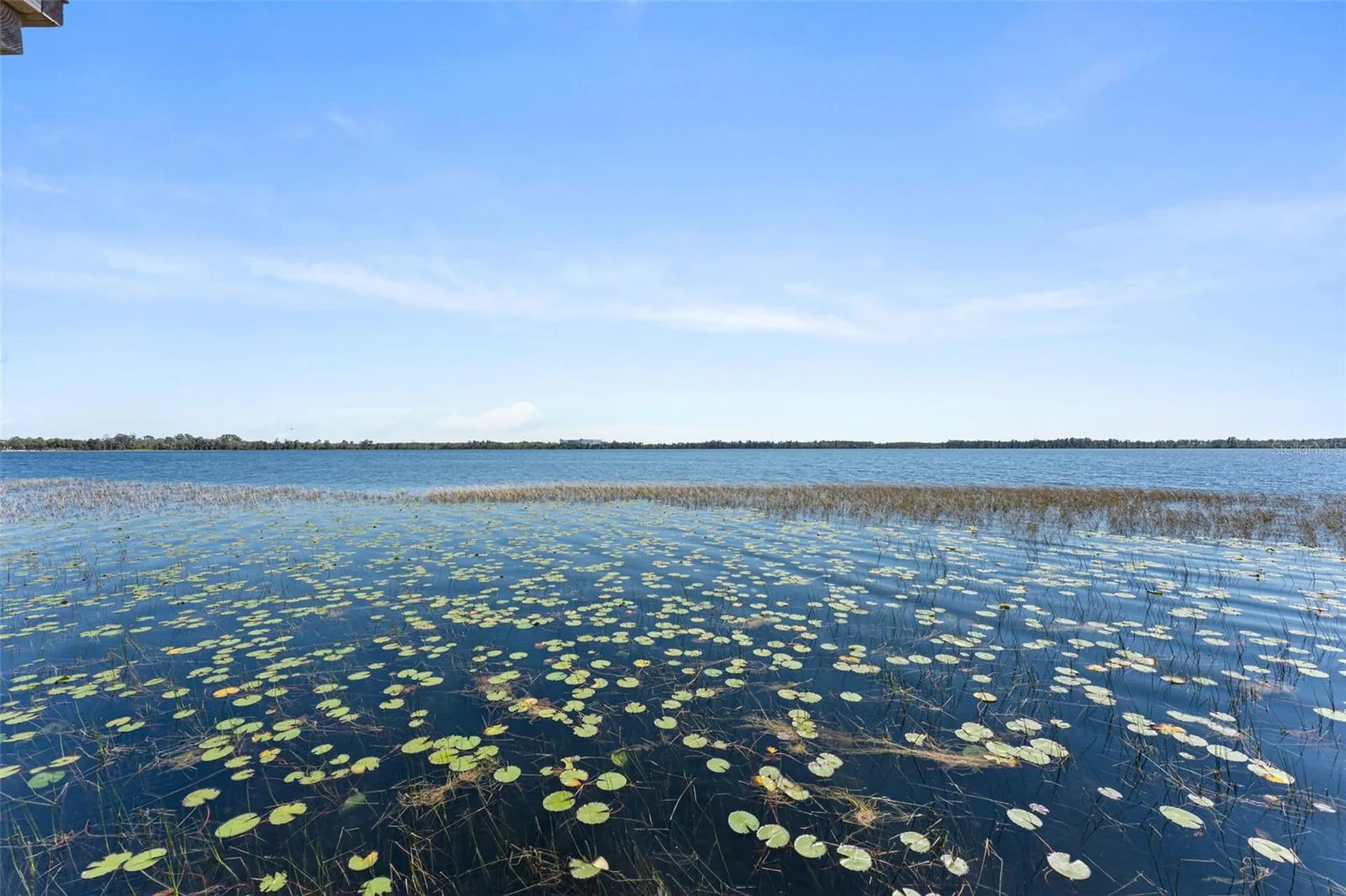 8506 Lake Nona Shore Drive Orlando FL 32827