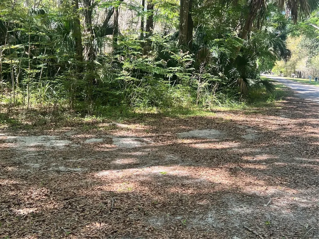 Tbd SE 2 Street Williston FL 32696