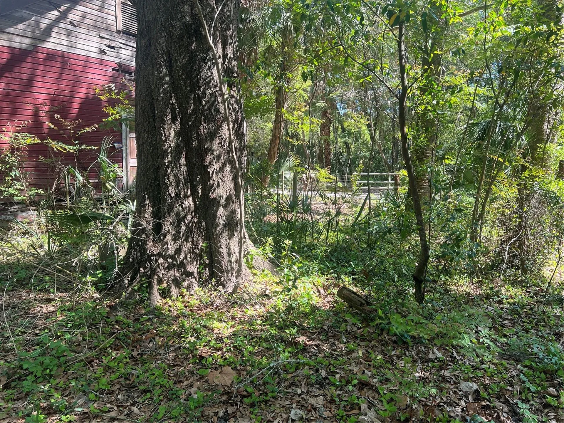 Tbd SE 2 Street Williston FL 32696