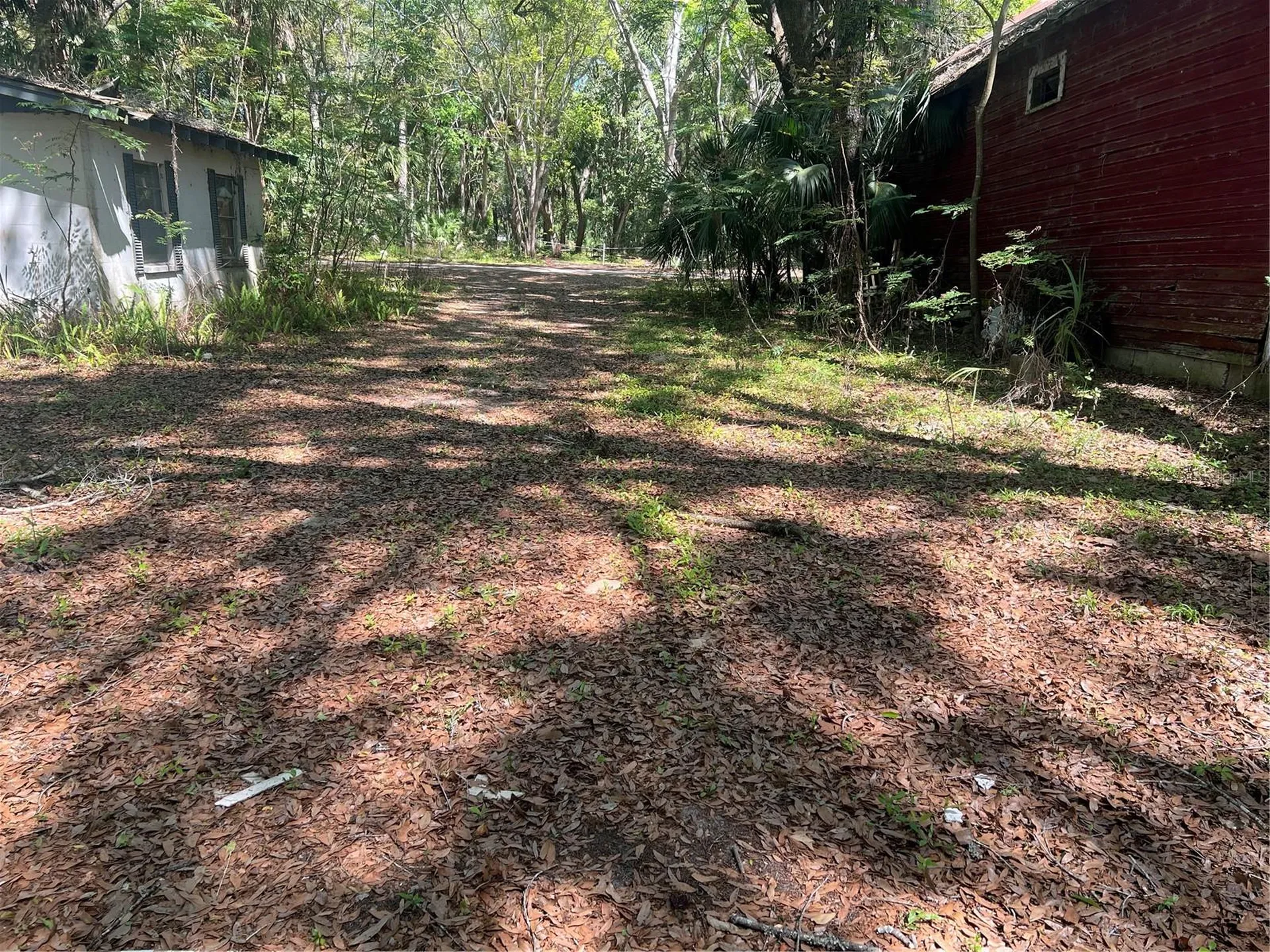 Tbd SE 2 Street Williston FL 32696