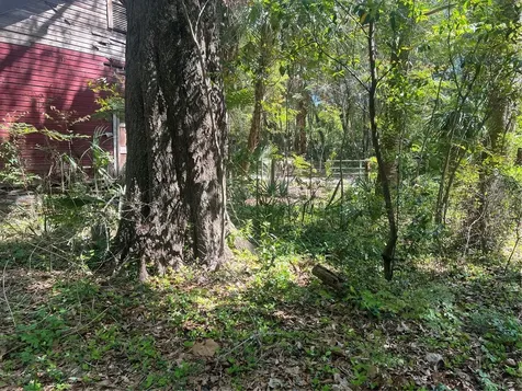 Tbd SE 2 Street Williston FL 32696