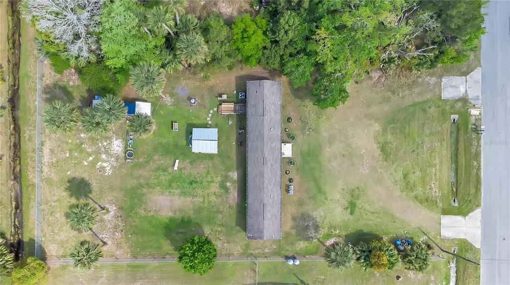 25117 Antler Christmas FL 32709