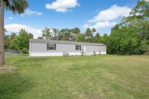 25117 Antler Christmas FL 32709