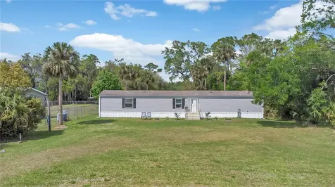 25117 Antler Christmas FL 32709