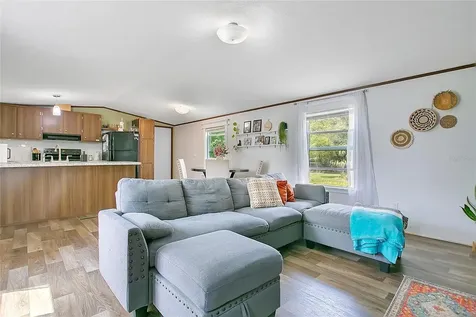 25117 Antler Christmas FL 32709