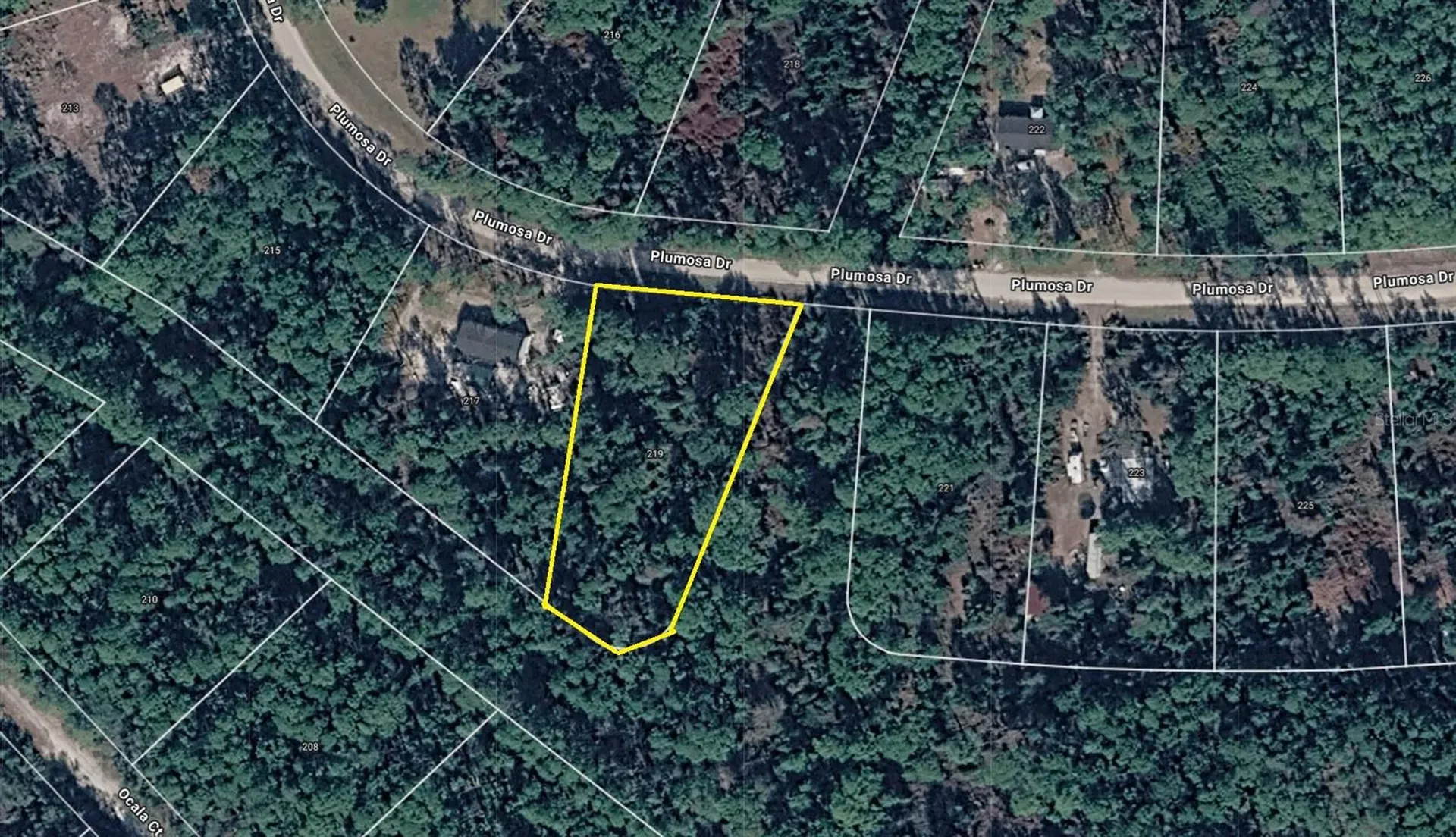 219 Plumosa Drive Georgetown FL 32139