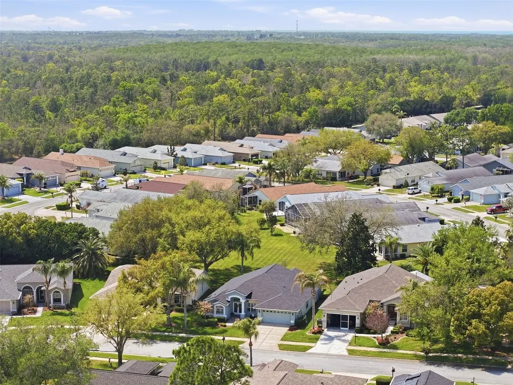 11408 Alden Court Hudson FL 34667