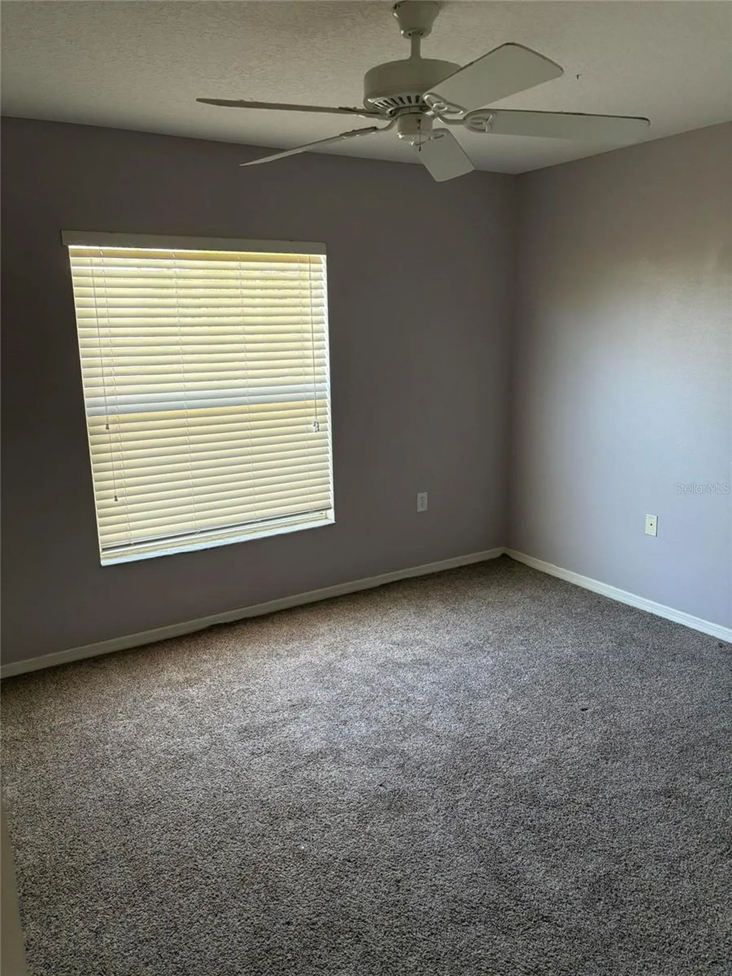 8520 Broken Willow Court Tampa FL 33647