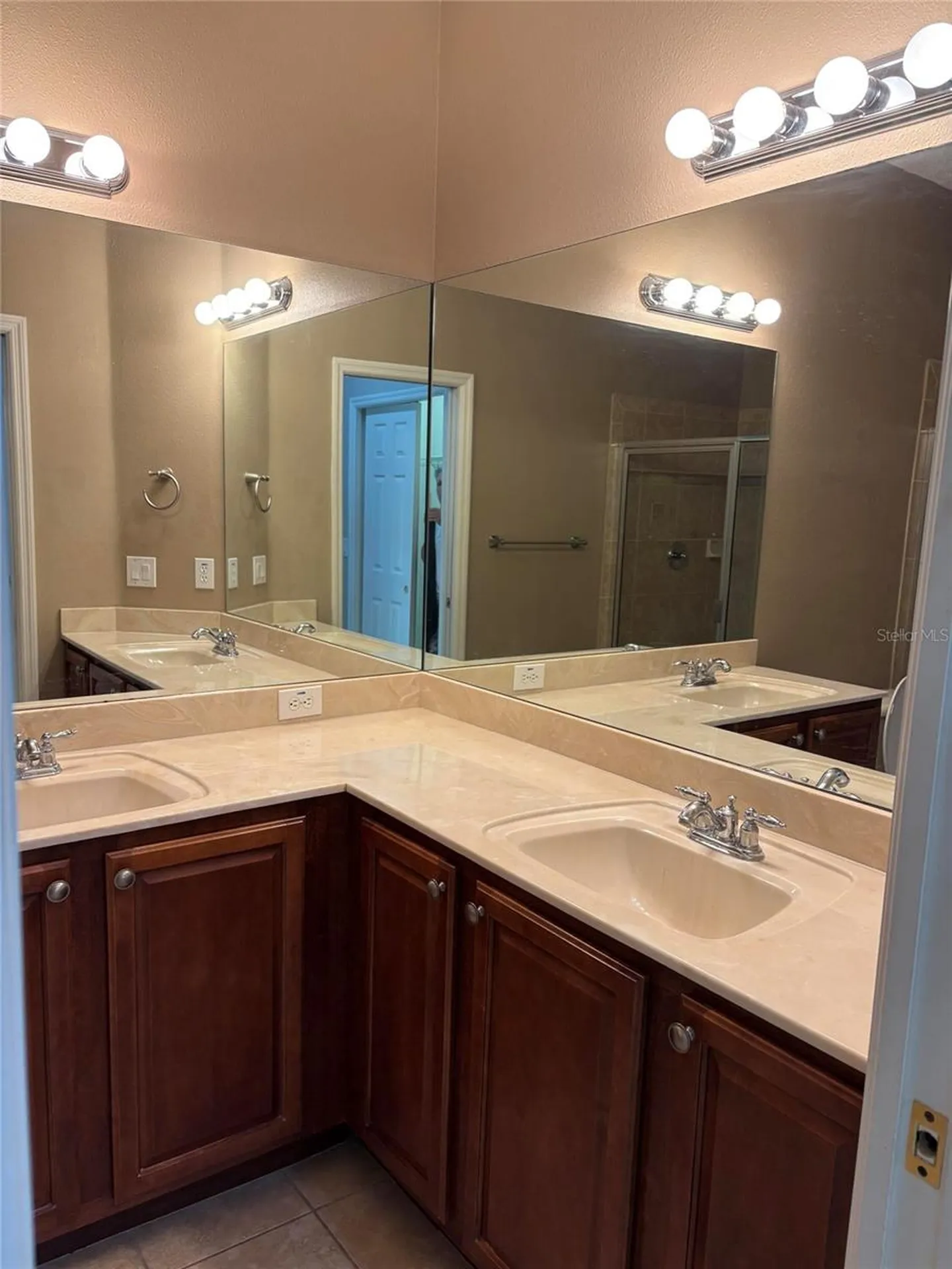8520 Broken Willow Court Tampa FL 33647