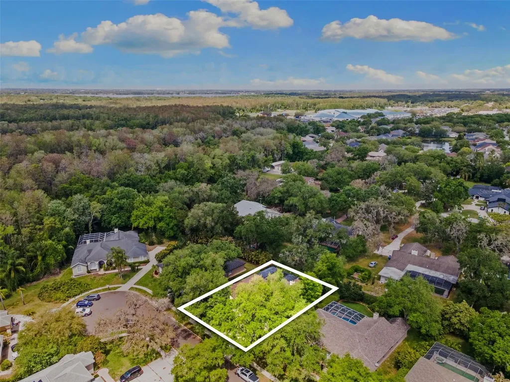 4647 Berwyn Court Palm Harbor FL 34685