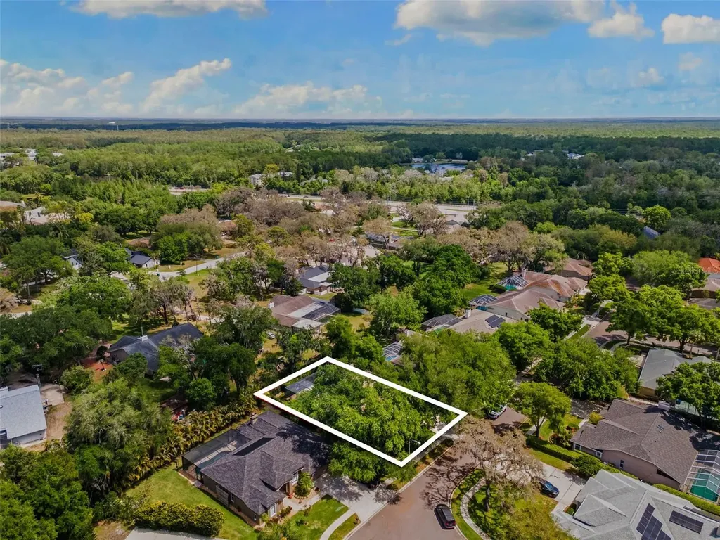4647 Berwyn Court Palm Harbor FL 34685