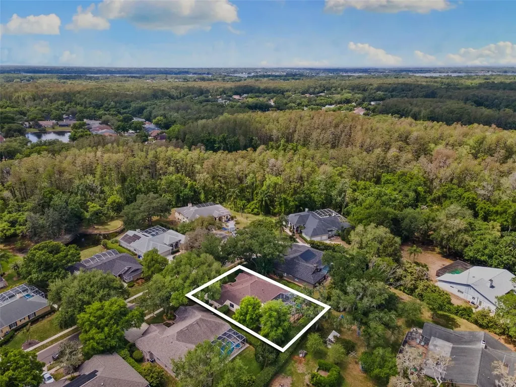 4647 Berwyn Court Palm Harbor FL 34685
