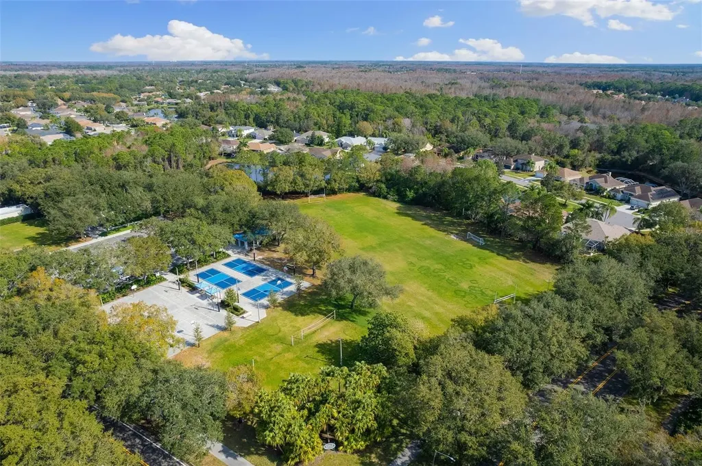 4647 Berwyn Court Palm Harbor FL 34685