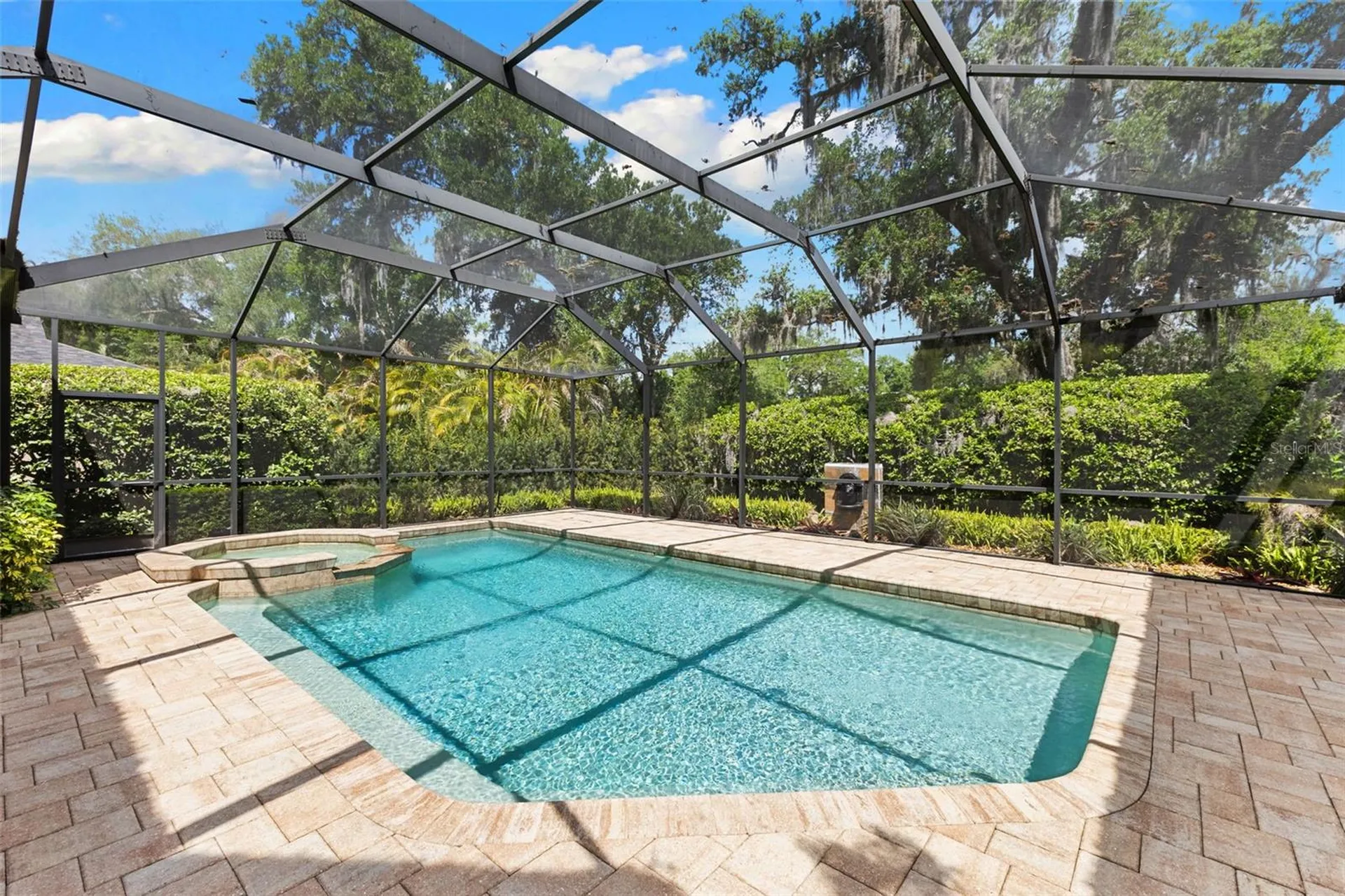 4647 Berwyn Court Palm Harbor FL 34685