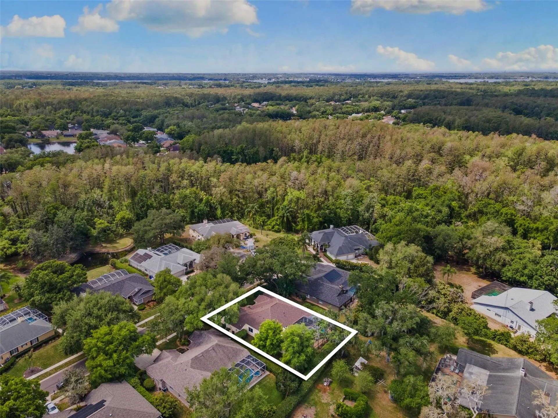 4647 Berwyn Court Palm Harbor FL 34685