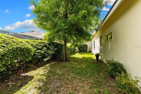 4647 Berwyn Court Palm Harbor FL 34685