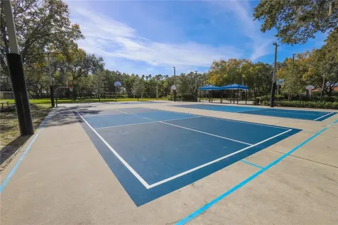 4647 Berwyn Court Palm Harbor FL 34685