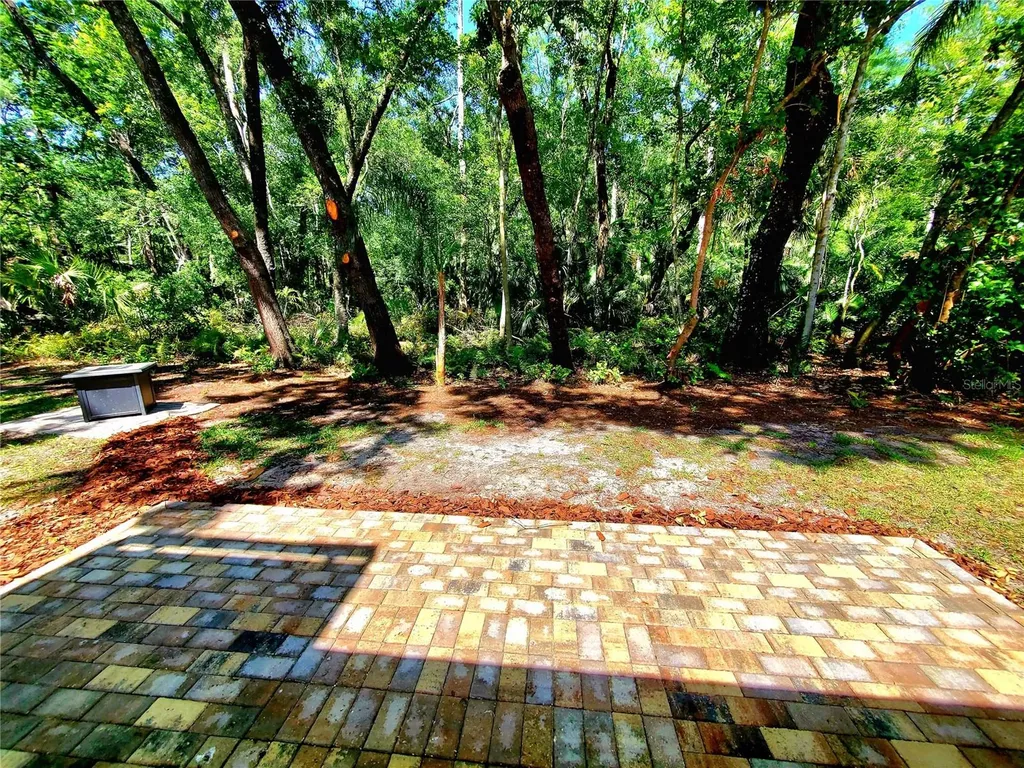 3529 Tanglewood Trail Palm Harbor FL 34685
