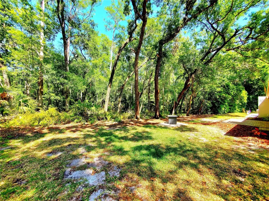 3529 Tanglewood Trail Palm Harbor FL 34685