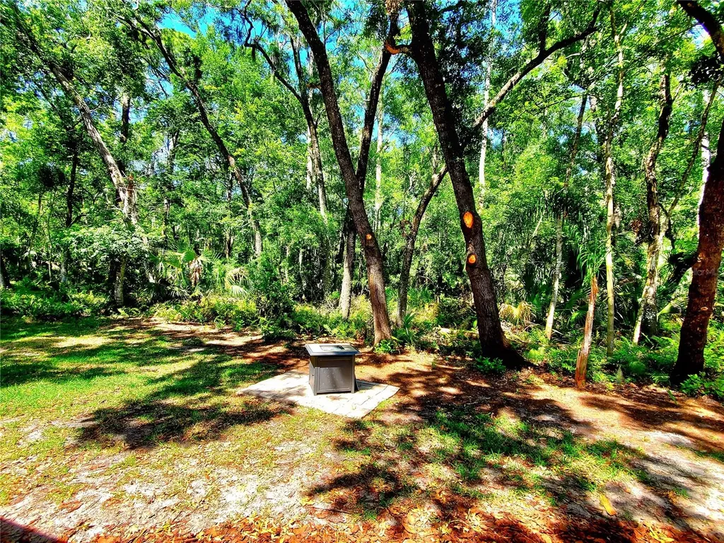 3529 Tanglewood Trail Palm Harbor FL 34685