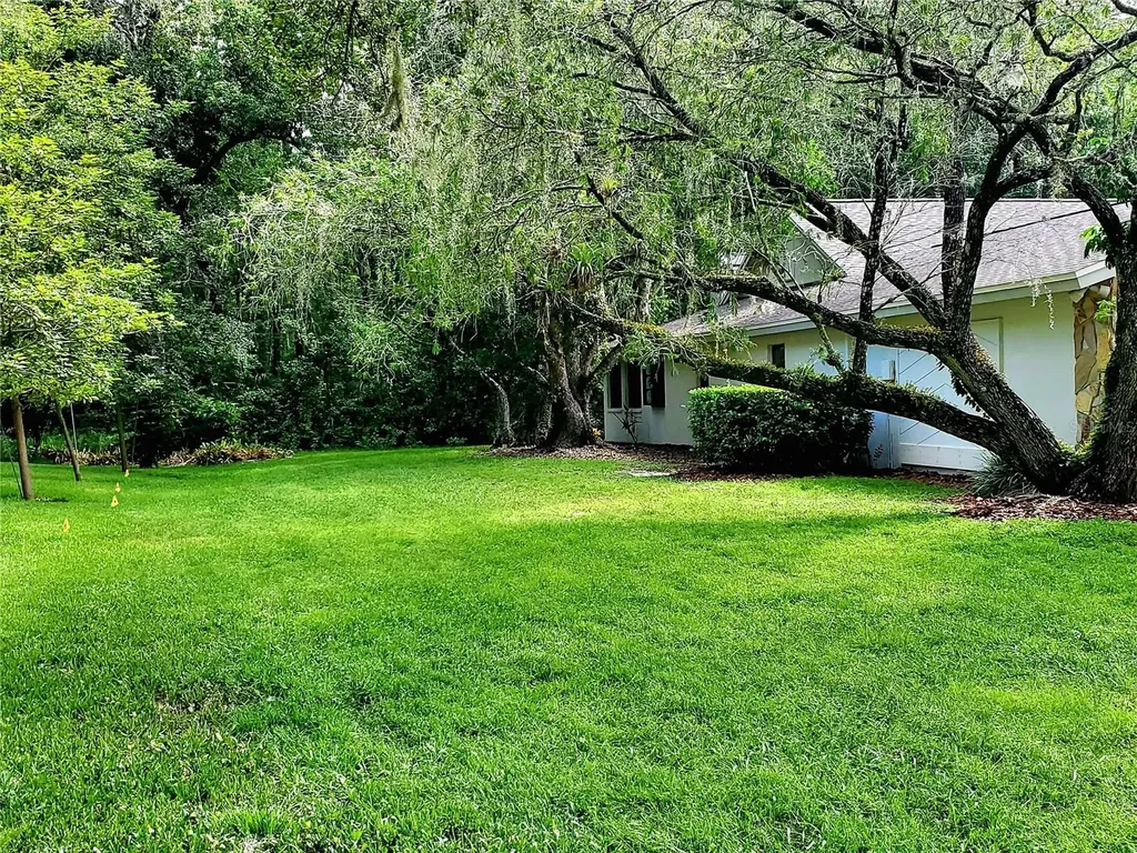 3529 Tanglewood Trail Palm Harbor FL 34685