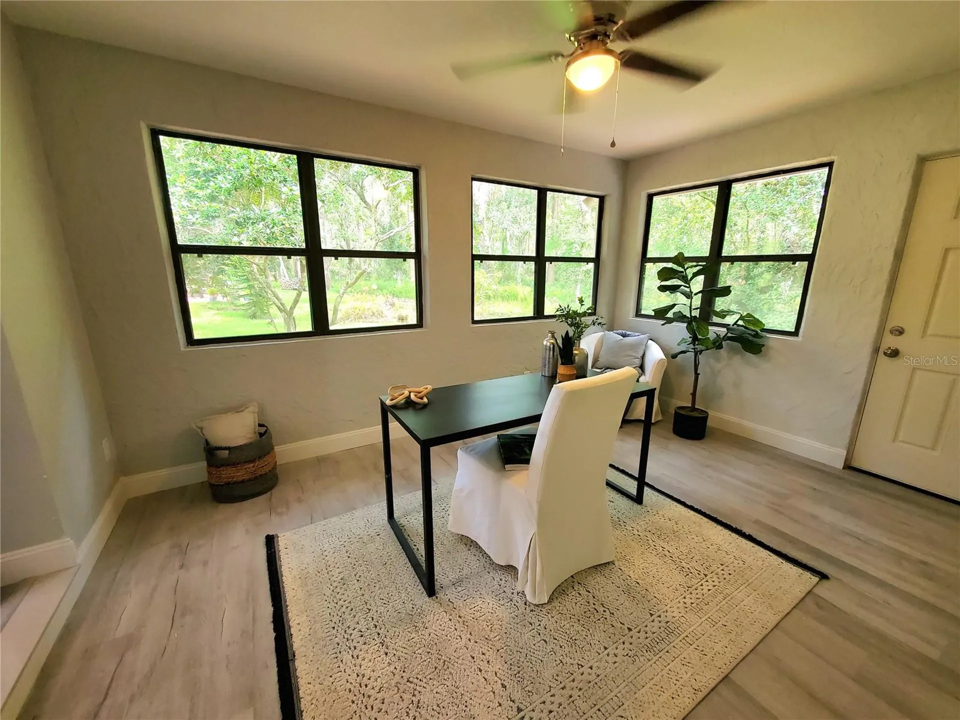 3529 Tanglewood Trail Palm Harbor FL 34685