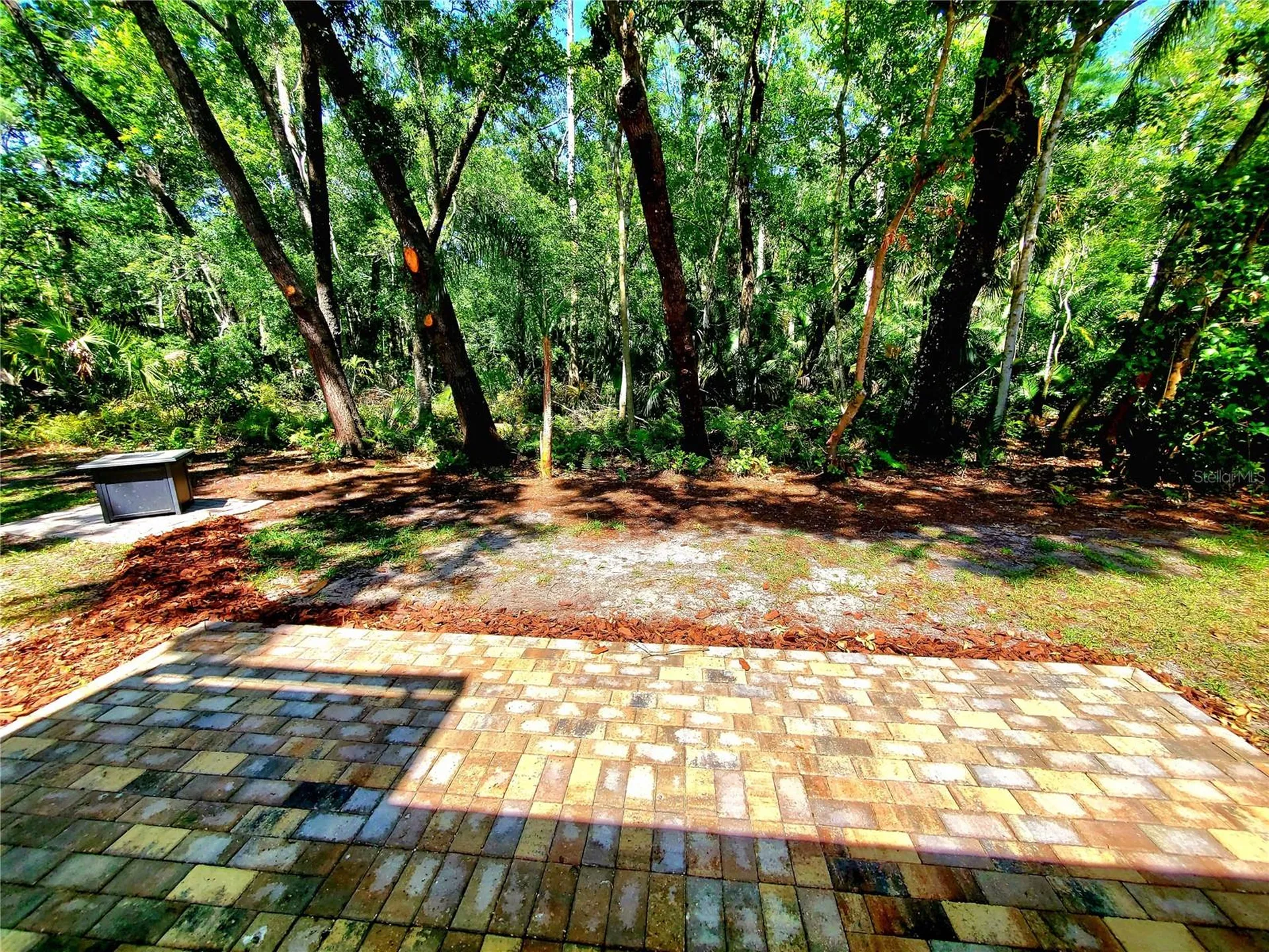3529 Tanglewood Trail Palm Harbor FL 34685