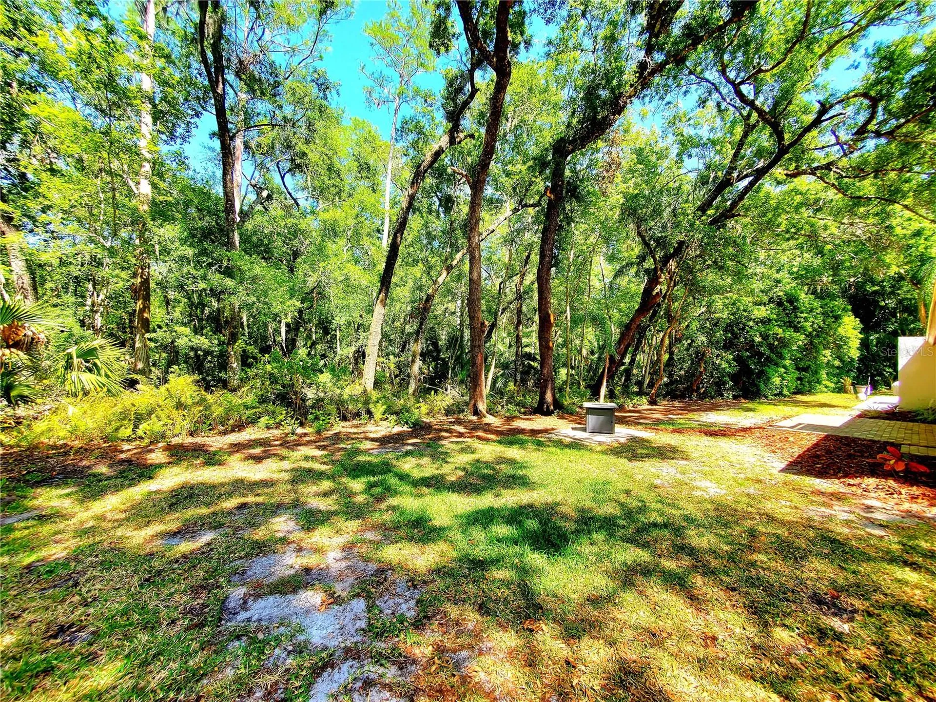 3529 Tanglewood Trail Palm Harbor FL 34685