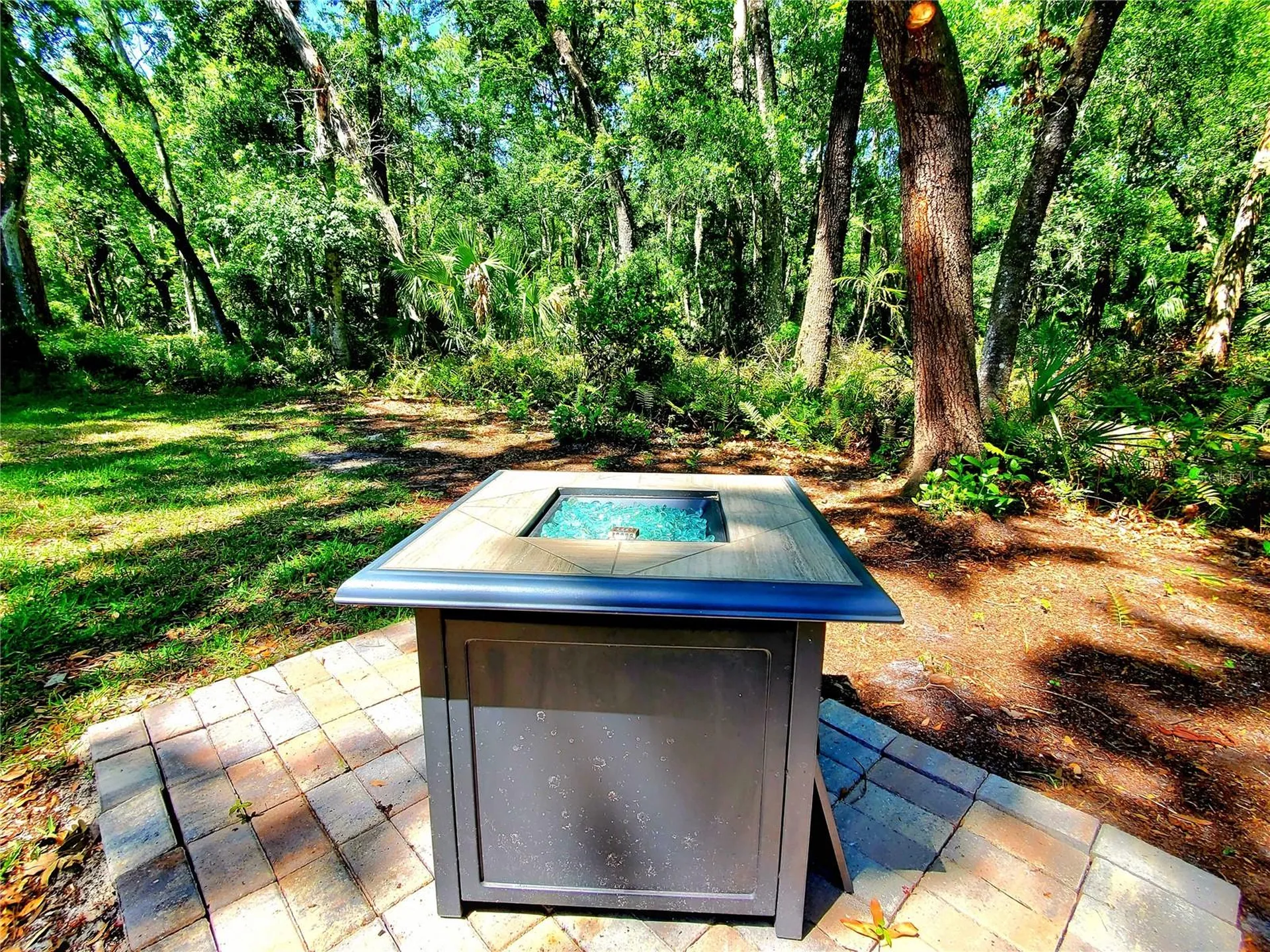 3529 Tanglewood Trail Palm Harbor FL 34685