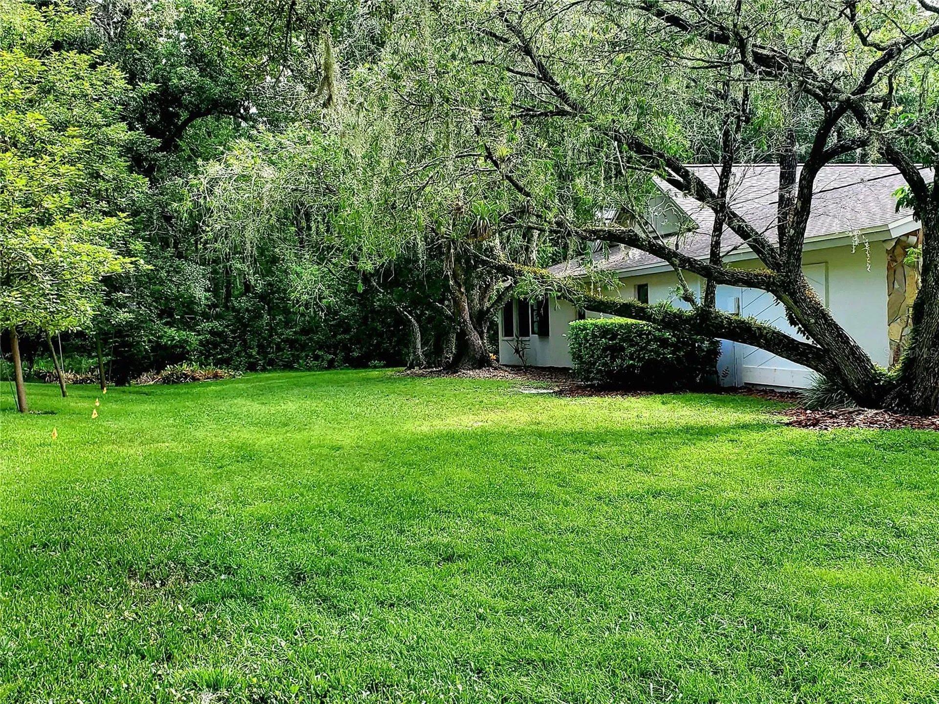 3529 Tanglewood Trail Palm Harbor FL 34685
