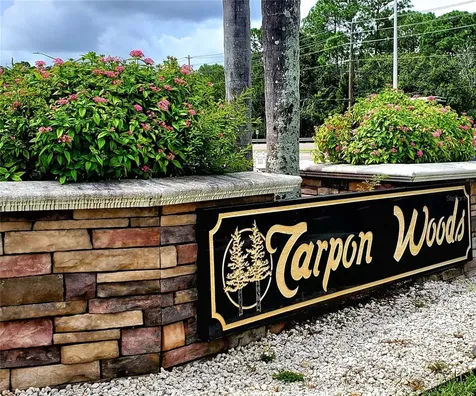 3529 Tanglewood Trail Palm Harbor FL 34685