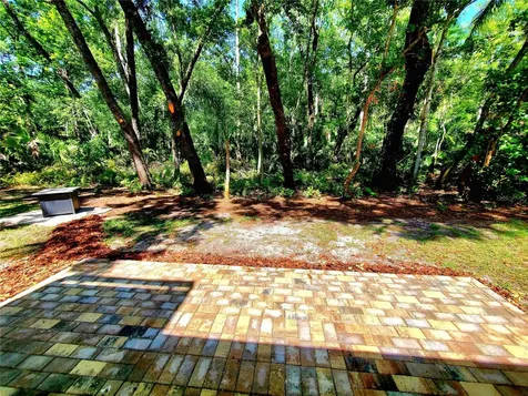 3529 Tanglewood Trail Palm Harbor FL 34685