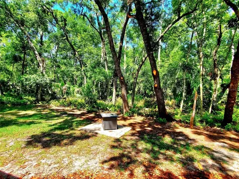 3529 Tanglewood Trail Palm Harbor FL 34685