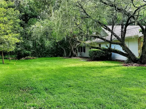 3529 Tanglewood Trail Palm Harbor FL 34685