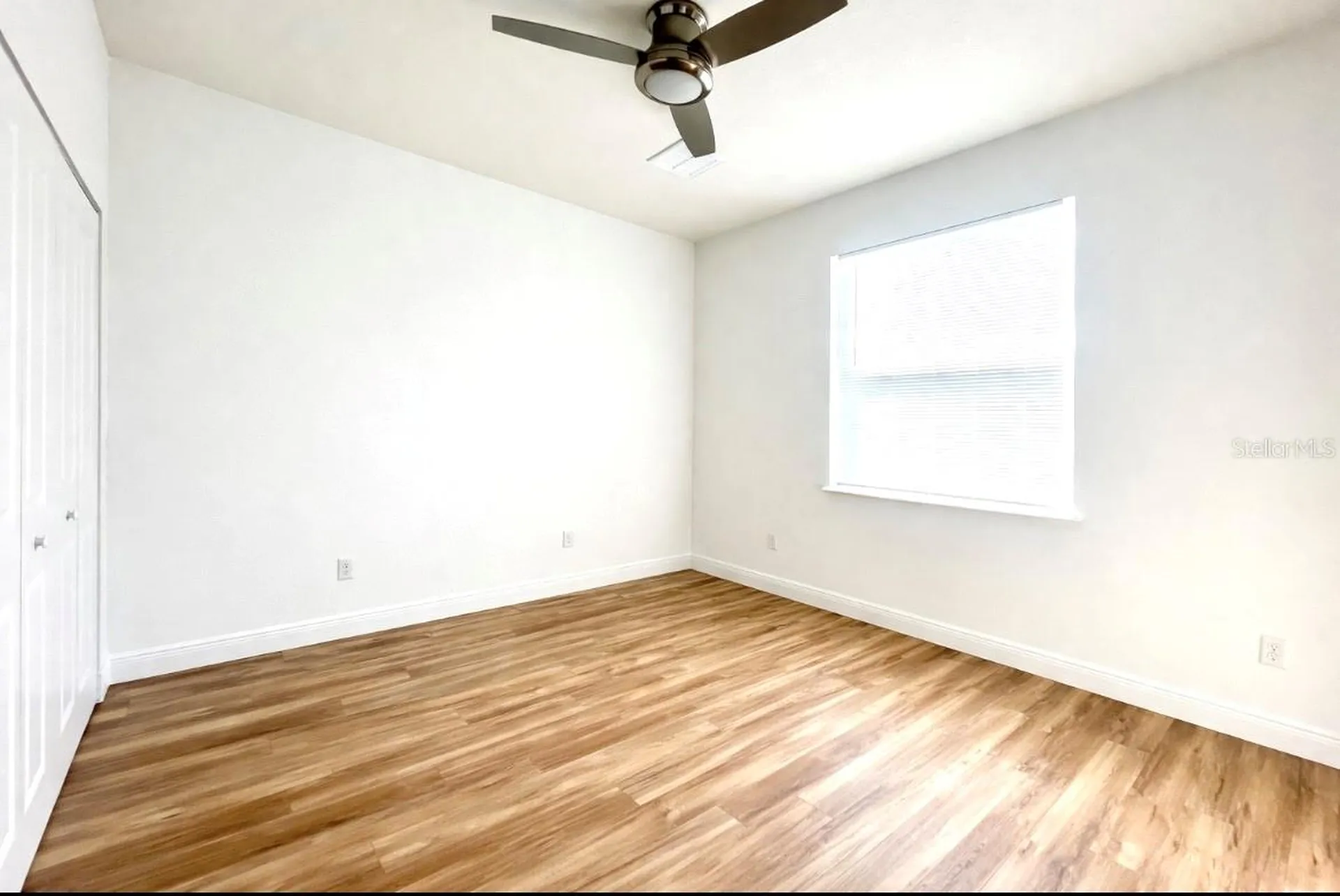 8110 N Greenwood Avenue Tampa FL 33604