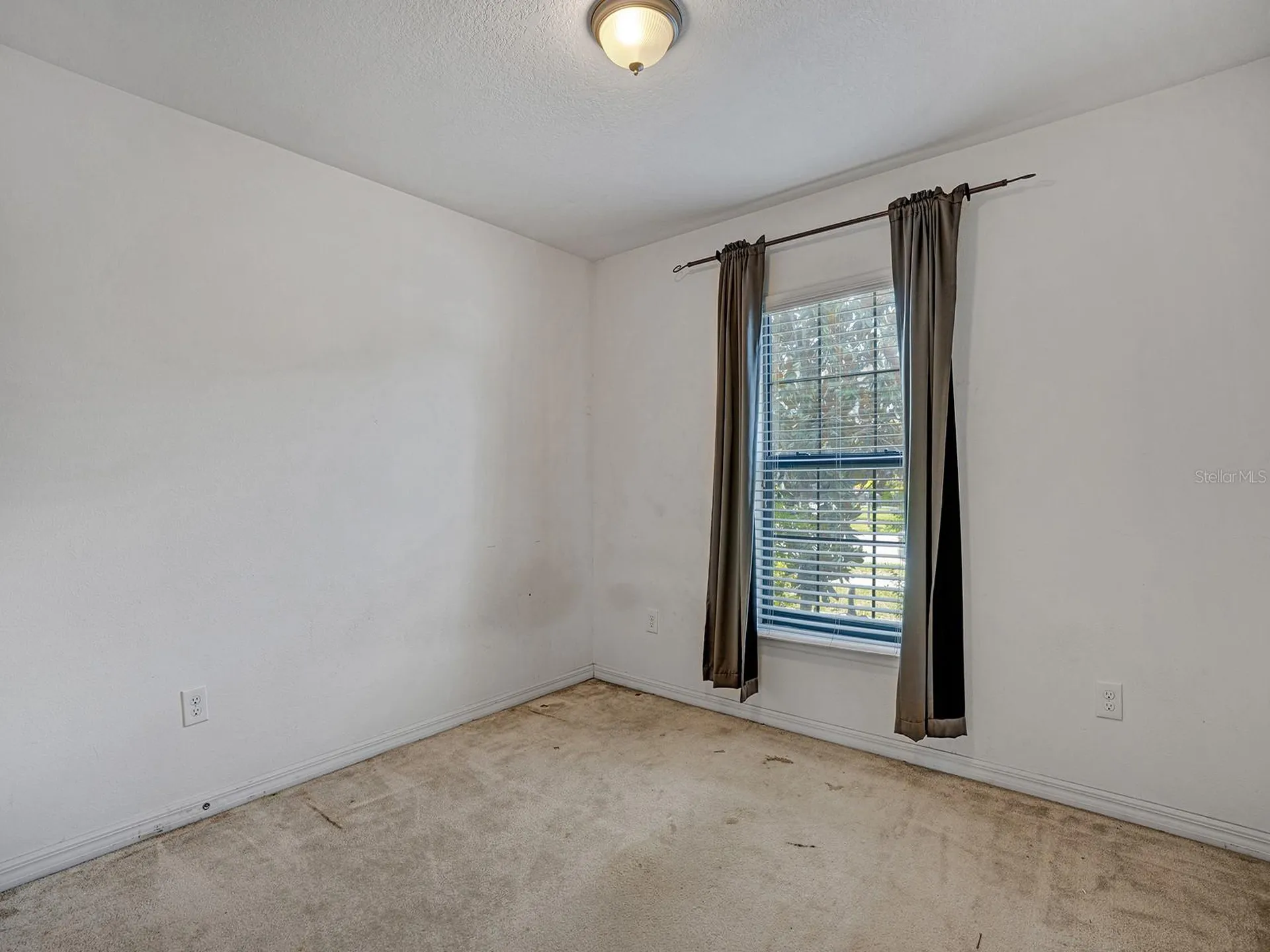 14456 Alistar Manor Drive Wimauma FL 33598