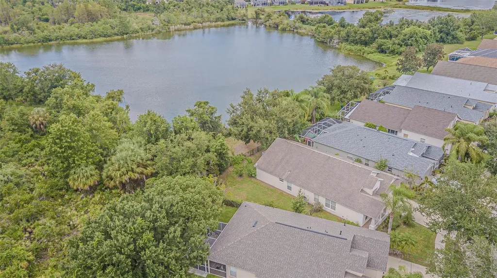 18024 Arbor Crest Drive Tampa FL 33647
