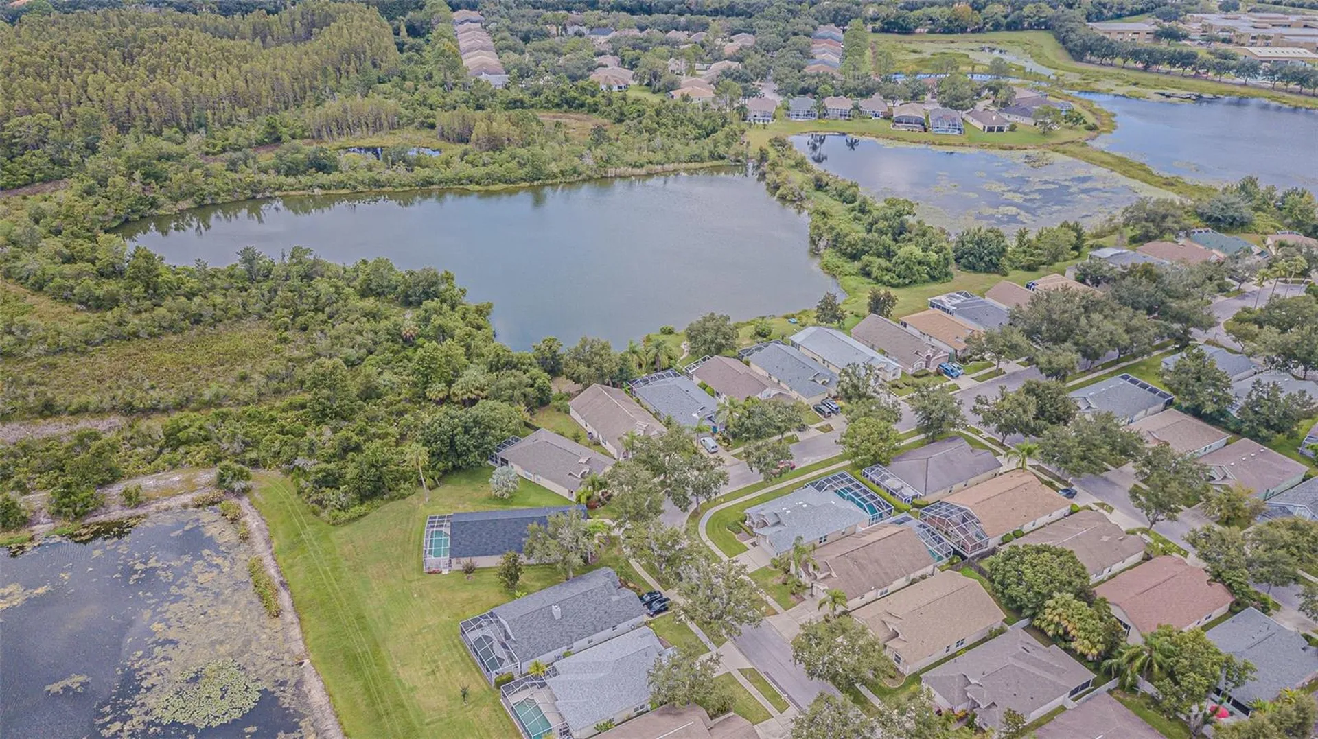 18024 Arbor Crest Drive Tampa FL 33647