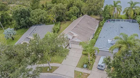 18024 Arbor Crest Drive Tampa FL 33647