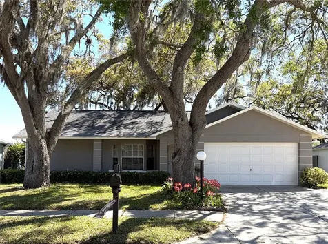 8648 Gold Pine Drive Port Richey FL 34668