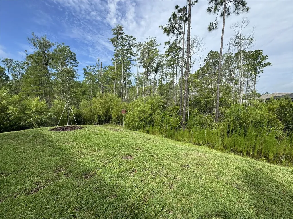 6 Blue Grotto Place Palm Coast FL 32137