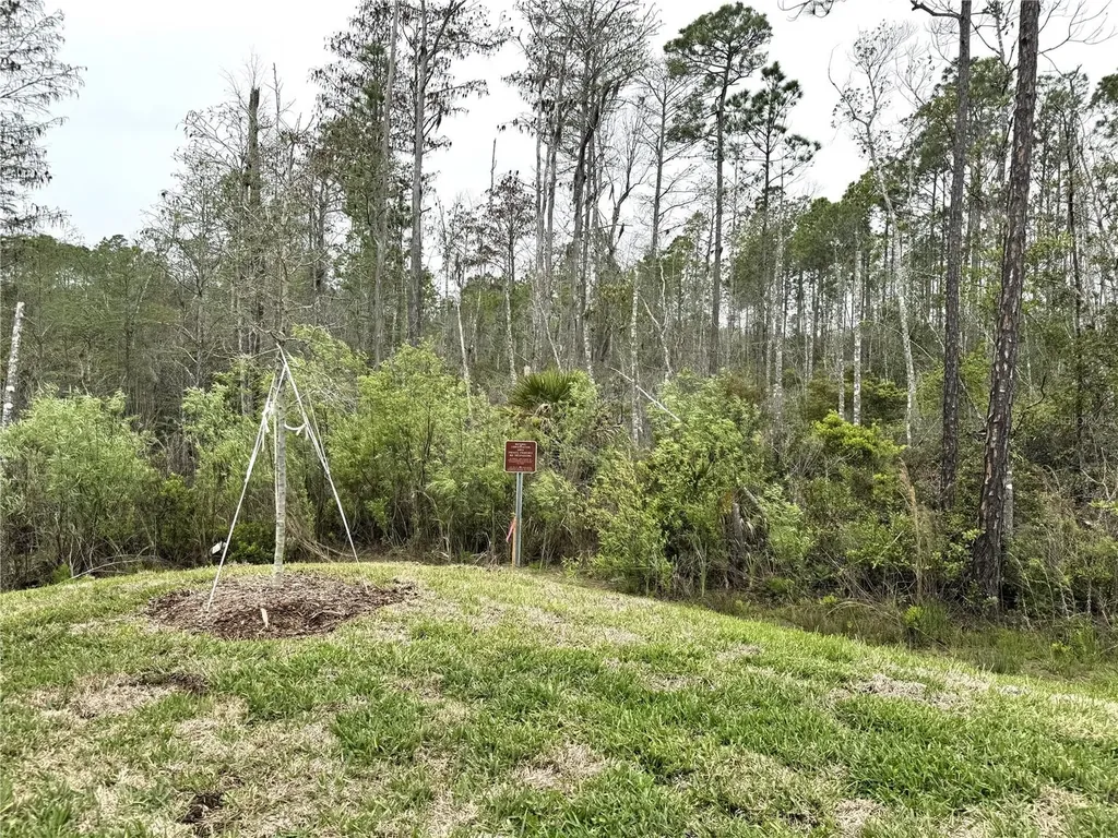 6 Blue Grotto Place Palm Coast FL 32137