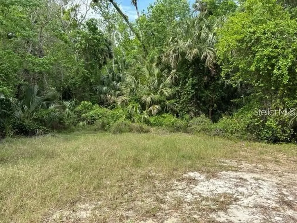 1747 Turtle Hill Road Deltona FL 32725